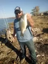 4lb Stripped Bass