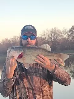 NPB!!  8lb LMB 11-18-23