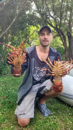 Couple more nice crayfish / red rock lobster for our x-mas feast