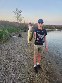 Largemouth bass 4.49lbs caught in late april