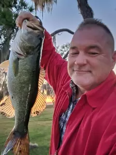 Solid Bass off bed