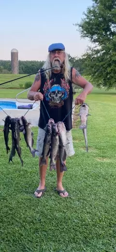 Stringer of catfish