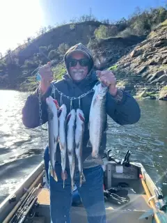 Pine flat Rainbows