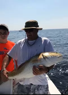 Bull Red Fish