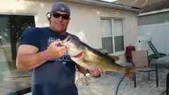 LMB