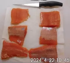 Coho salmon fillets