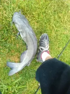 20lb channel