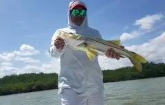 Snook. Nichupteโ Lagoon, Cancun MX
