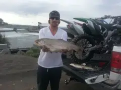 #2 big rainbow