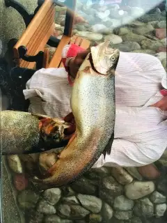#3 BIG rainbows