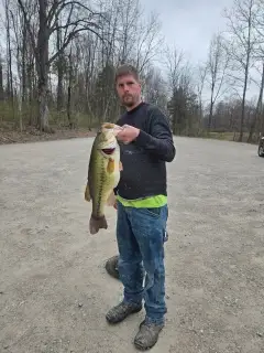Lmb