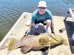 QLD Groper