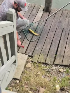 1st fish