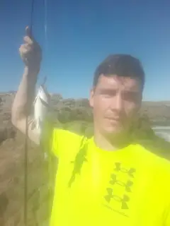 Hotnot Fish