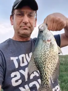 13" crappie