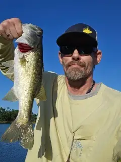 Large mouth bass