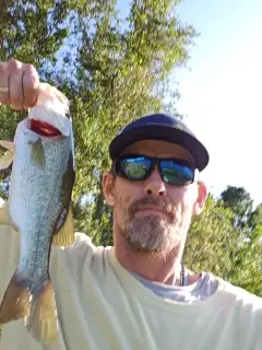 Large mouth bass