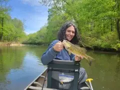 Smallmouth bass
