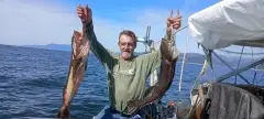 Lingcod