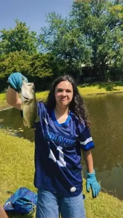 Bass