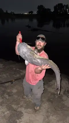 32 lbs blue cat