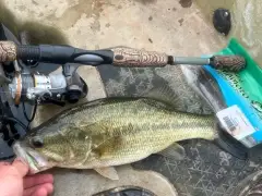 Drop shot slot