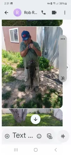 32 pound Blue Cat