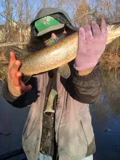 Another pike