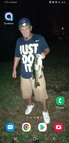 Bass