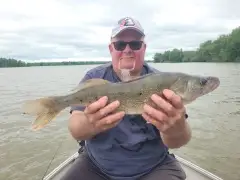Walleye