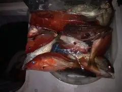 2 hours in the afternoon