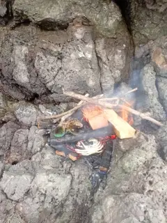 Kutai and crab
