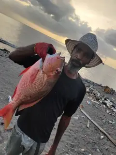 Easy dinner