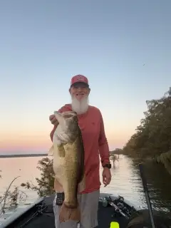 Large Mouth Bass 9.1 Lbs.