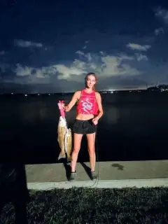 Reds