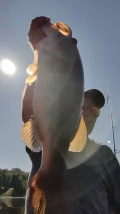 8lb. Bass