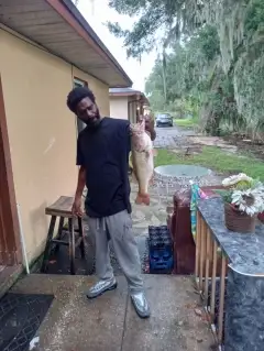 Bass
