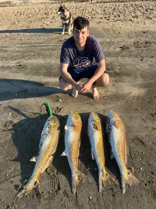 4 big Reddrum at once!