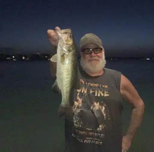 Bass