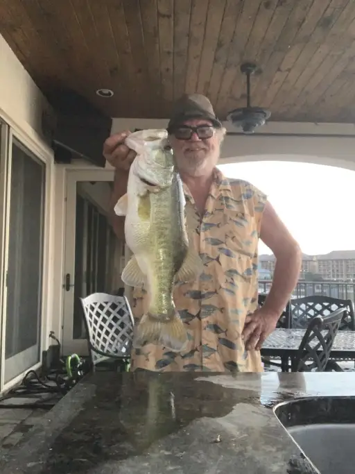 Bass