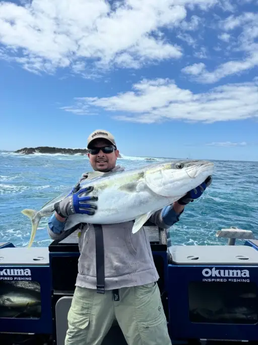Legendary New Zealand Kingfish