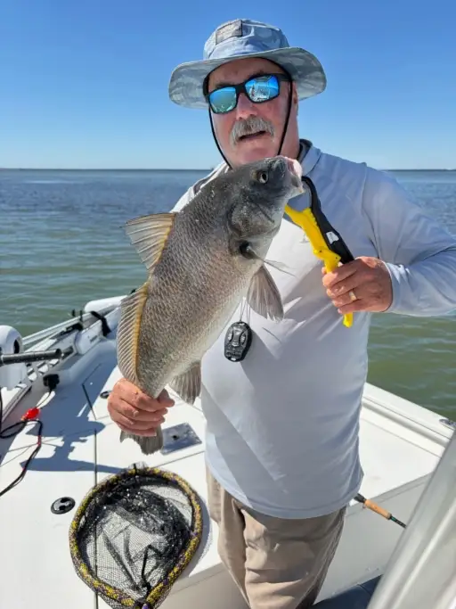 Black Drum
