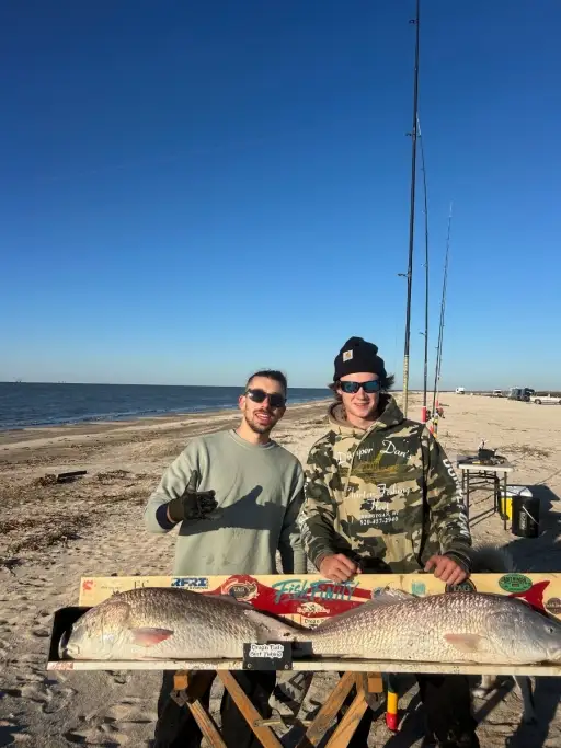 40 Bull Red drum in 1 day