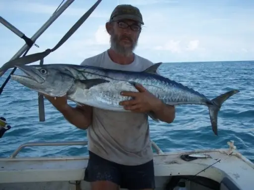 Spanish Mackerel.