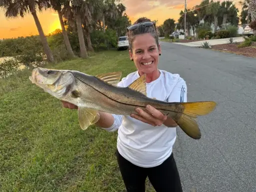 Sunset Snook 23 in