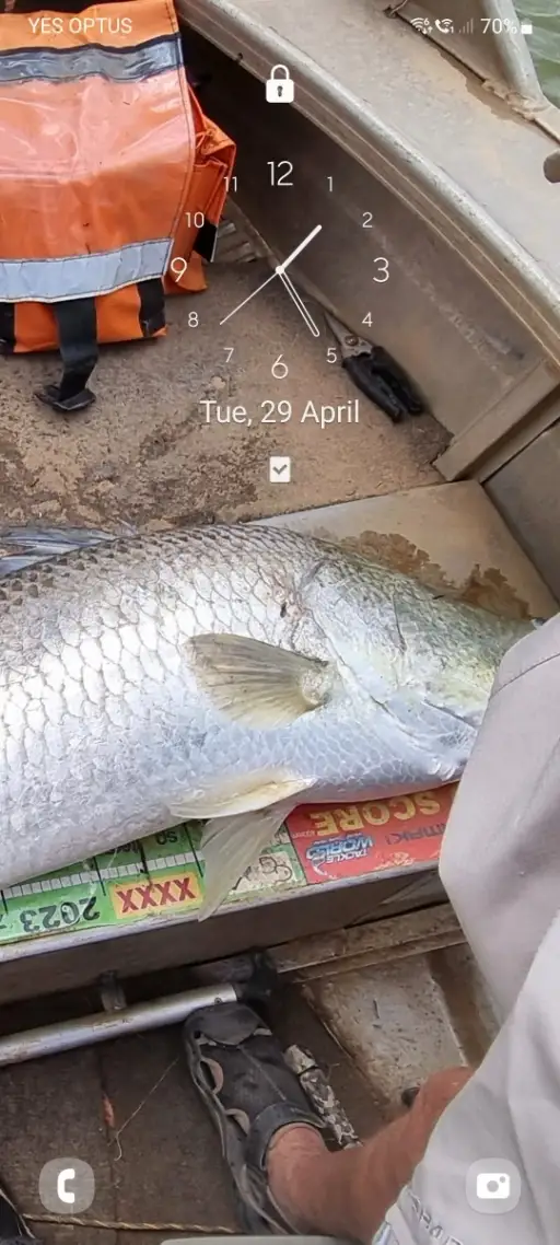 Big barra 125 cm