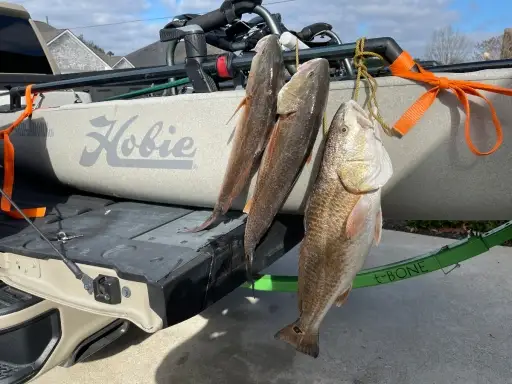 Another great day