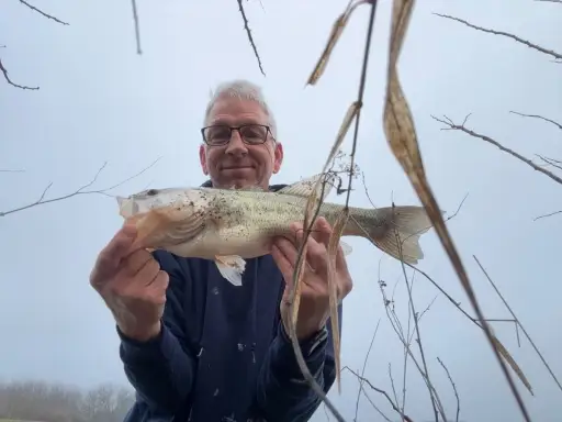 Largemouth Bass