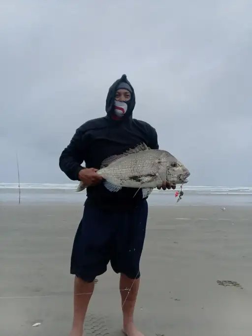 Snapper