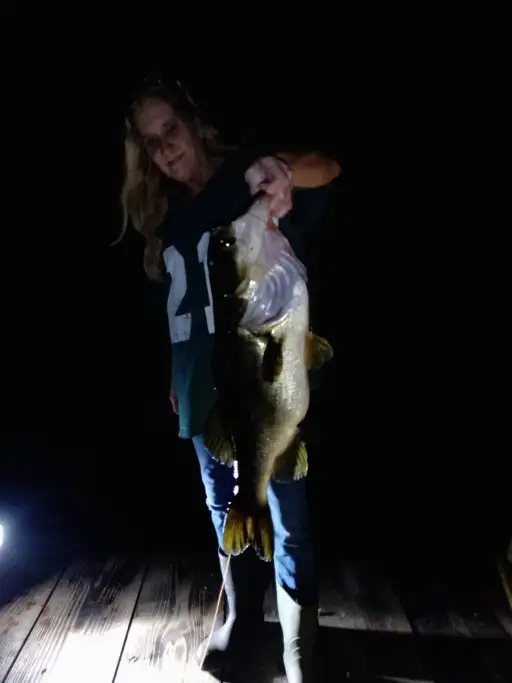 Large mouth bass.